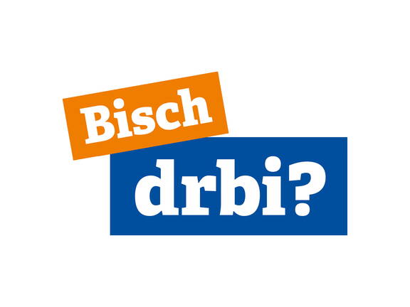 Externe Seite: bisch_drbi_web.jpg