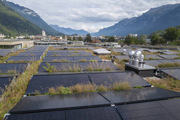 Die Anzahl Photovoltaikanlagen auf dem Bödeli nimmt rasant zu

