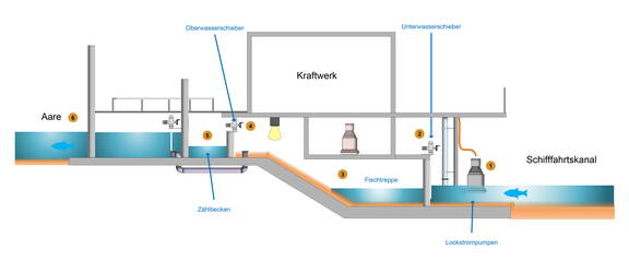 Zoom: Grafik: aeschimann automationssysteme AG