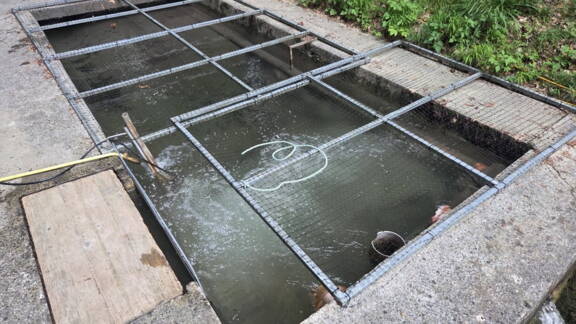 Wasserbelüfter und Injektoren sorgten für zusätzlichen Sauerstoff und Verwirbelungen im Wasser
