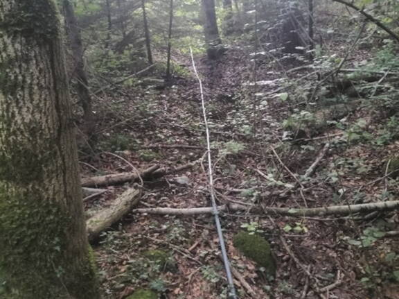 Improvisierte Schlauchleitung durch den Wald