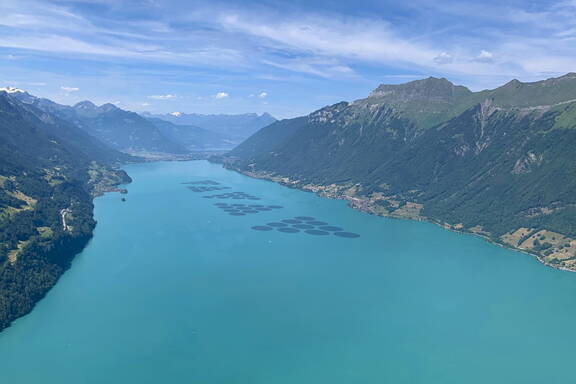 Visualisierung Floating Solar - schwimmende Fotovoltaikanlage auf dem Brienzersee
