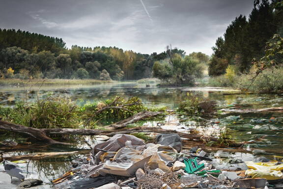 Plastikmüll in den Gewässern richten erhebliche Schäden an.
