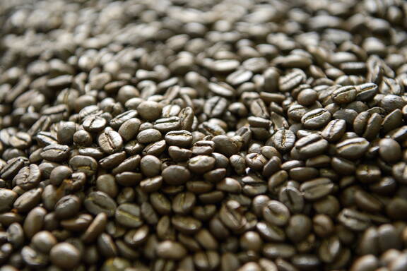 Frisch geröstete Kaffeebohnen.

